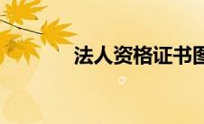 法人资格证书图片(法人资格)