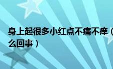 身上起很多小红点不痛不痒（身上起好多小红点不痛不痒怎么回事）