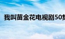 我叫苗金花电视剧50集(我叫苗金花电视剧)