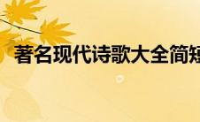 著名现代诗歌大全简短(著名现代诗歌大全)