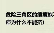 危险三角区的痘痘能不能挤(危险三角区的痘痘为什么不能挤)