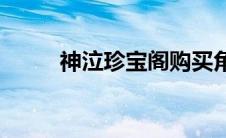 神泣珍宝阁购买角色(神泣珍宝阁)