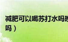 减肥可以喝苏打水吗晚上（减肥可以喝苏打水吗）