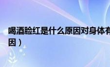 喝酒脸红是什么原因对身体有什么影响（喝酒脸红是什么原因）