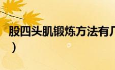 股四头肌锻炼方法有几种（股四头肌锻炼方法）