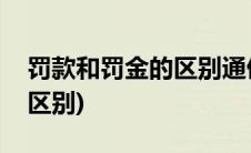 罚款和罚金的区别通俗的解释(罚款和罚金的区别)