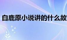 白鹿原小说讲的什么故事（白鹿原小说简介）