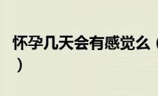 怀孕几天会有感觉么（如果怀孕几天有感觉吗）