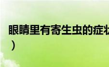 眼睛里有寄生虫的症状（眼睛有寄生虫的症状）