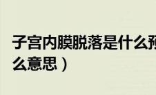 子宫内膜脱落是什么预兆（子宫内膜脱落是什么意思）