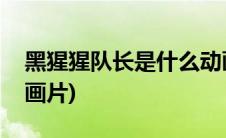 黑猩猩队长是什么动画片(猩猩队长是什么动画片)