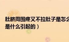 肚脐周围疼又不拉肚子是怎么回事（肚脐周围疼但不拉肚子是什么引起的）