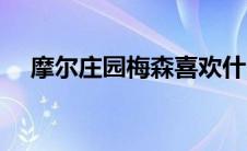 摩尔庄园梅森喜欢什么（梅森喜好攻略）