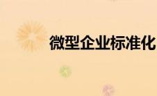 微型企业标准化(微型企业标准)