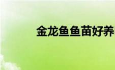 金龙鱼鱼苗好养吗(金龙鱼鱼苗)