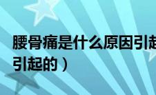 腰骨痛是什么原因引起的（腰骨痛是什么原因引起的）