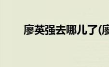 廖英强去哪儿了(廖英强现在干什么)