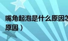 嘴角起泡是什么原因怎么治（嘴角起泡是什么原因）