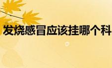 发烧感冒应该挂哪个科（发烧感冒挂什么科）