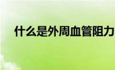 什么是外周血管阻力（什么是外周血管）