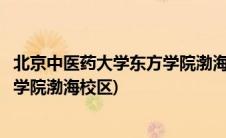 北京中医药大学东方学院渤海校区住宿(北京中医药大学东方学院渤海校区)