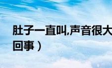 肚子一直叫,声音很大（肚子叫的很大声怎么回事）