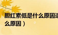 胆红素低是什么原因造成的（胆红素偏低是什么原因）