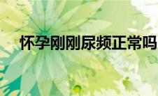 怀孕刚刚尿频正常吗（怀孕尿频正常吗）