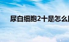 尿白细胞2十是怎么回事（尿白细胞2 ）
