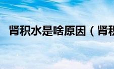 肾积水是啥原因（肾积水究竟是怎么回事）