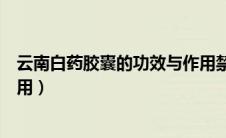 云南白药胶囊的功效与作用禁用（云南白药胶囊的功效与作用）