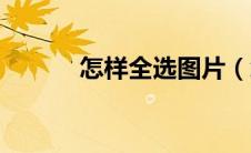 怎样全选图片（怎样全身变白）