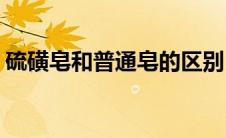 硫磺皂和普通皂的区别(药皂和硫磺皂的区别)