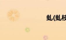 虬(虬枝剑法)