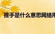 推手是什么意思网络用语(推手是什么意思)