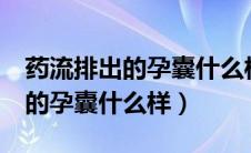 药流排出的孕囊什么样子图片6周（药流排出的孕囊什么样）