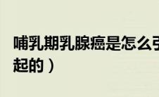 哺乳期乳腺癌是怎么引起的（乳腺癌是怎么引起的）