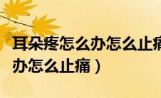 耳朵疼怎么办怎么止痛并且头疼（耳朵疼怎么办怎么止痛）