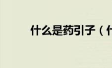 什么是药引子（什么是药物过敏）