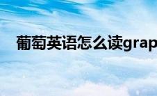 葡萄英语怎么读grapes(葡萄英语怎么读)