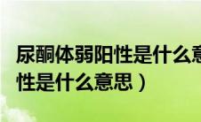 尿酮体弱阳性是什么意思正常吗（尿酮体弱阳性是什么意思）
