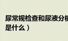 尿常规检查和尿液分析（尿常规检查结果分析是什么）