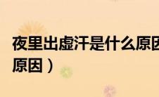 夜里出虚汗是什么原因女（夜里出虚汗是什么原因）