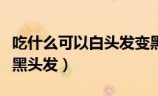 吃什么可以白头发变黑头发（如何让白头发变黑头发）