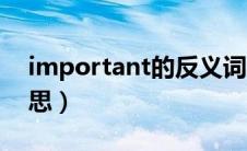 important的反义词（important是什么意思）