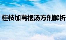 桂枝加葛根汤方剂解析（桂枝加葛根汤方义）