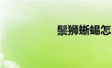 鬃狮蜥蜴怎么养(鬃狮)