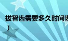 拔智齿需要多久时间恢复（拔智齿要多久恢复）