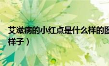 艾滋病的小红点是什么样的图片（艾滋病长的小红点是什么样子）