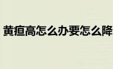 黄疸高怎么办要怎么降下来（黄疸高怎么办）